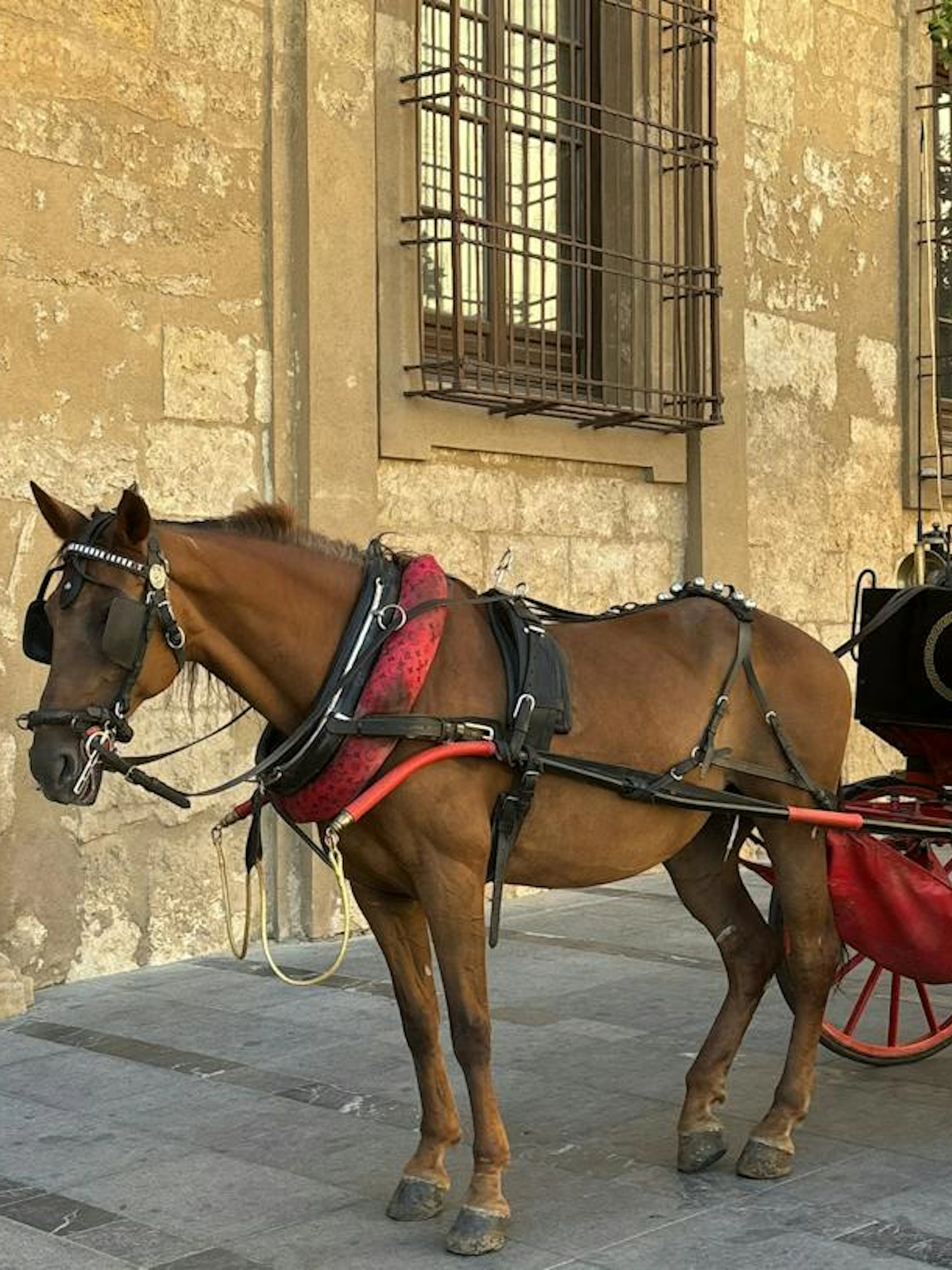 Horse-drawn carriage in front of historic building, Córdoba Treasure Hunt.
