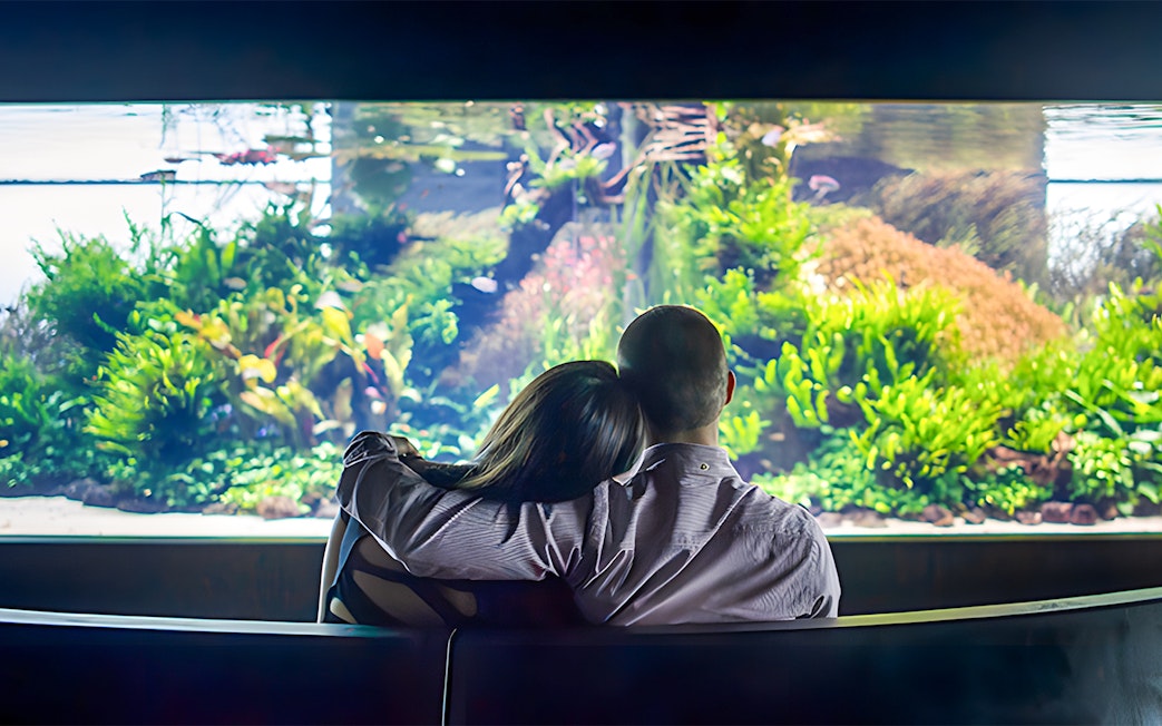 Couple admiring aquatic life at Lisbon Oceanarium.