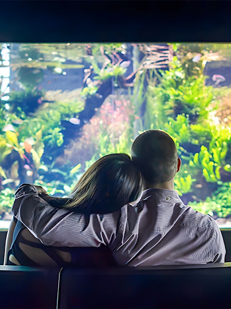 Couple admiring aquatic life at Lisbon Oceanarium.