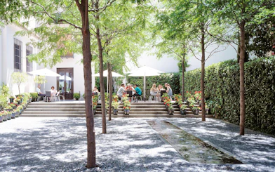 Visitors enjoying outdoor seating at Picasso Museum Malaga cafe.