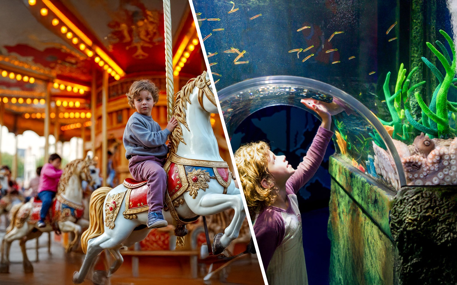 Child reaching towards fish in underwater tunnel at SEA LIFE Melbourne.