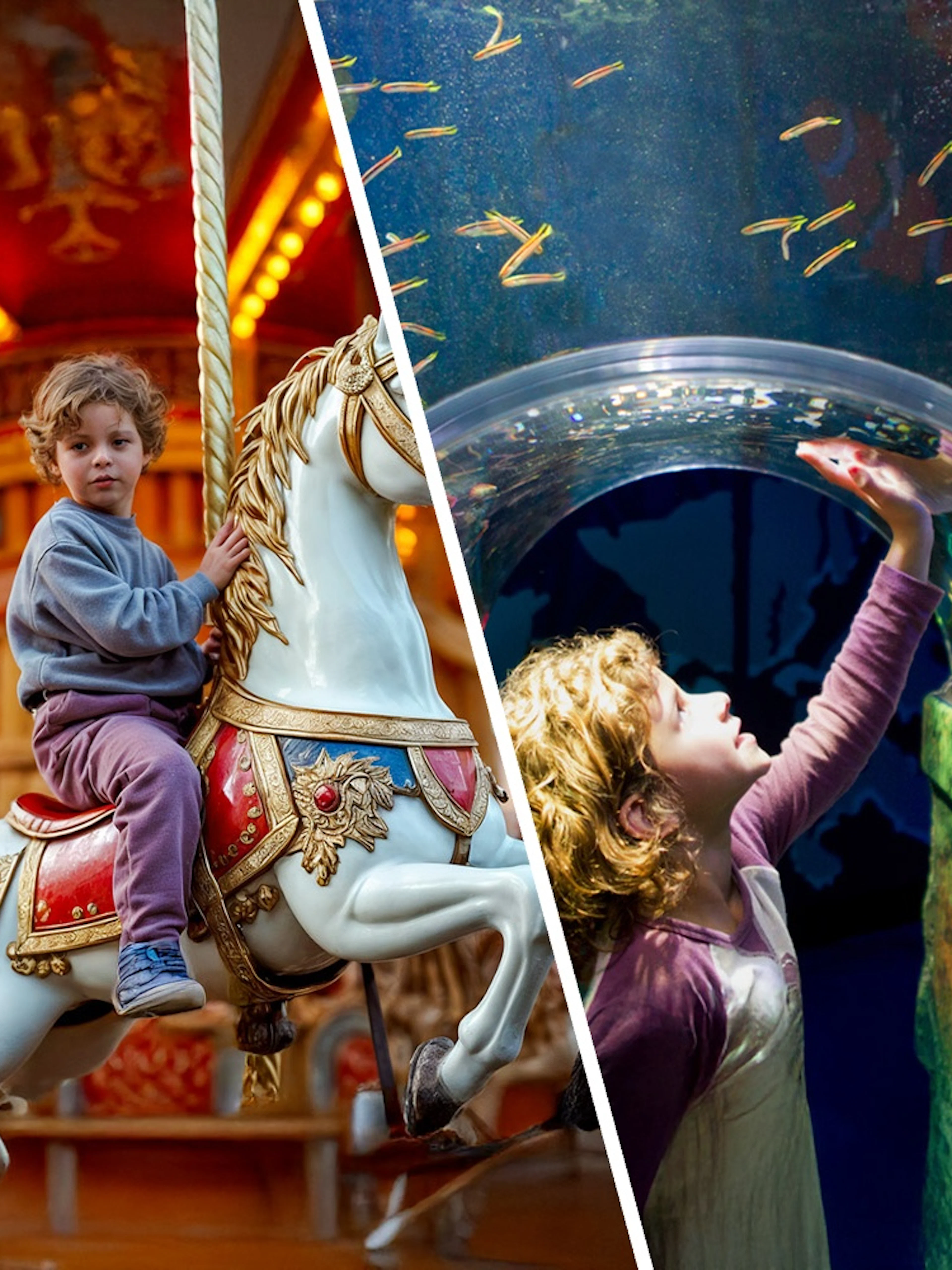 Child reaching towards fish in underwater tunnel at SEA LIFE Melbourne.