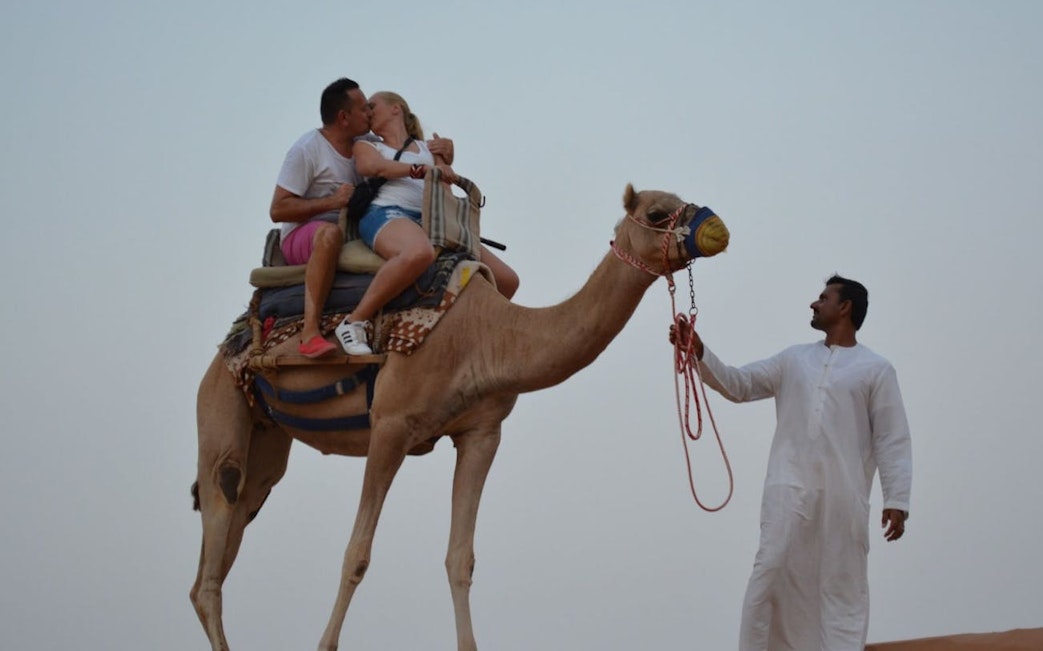 ras al khaimah : randonnée guidée à dos de chameau au campement bédouin de l'oasis, avec transferts et collation de bienvenue-2
