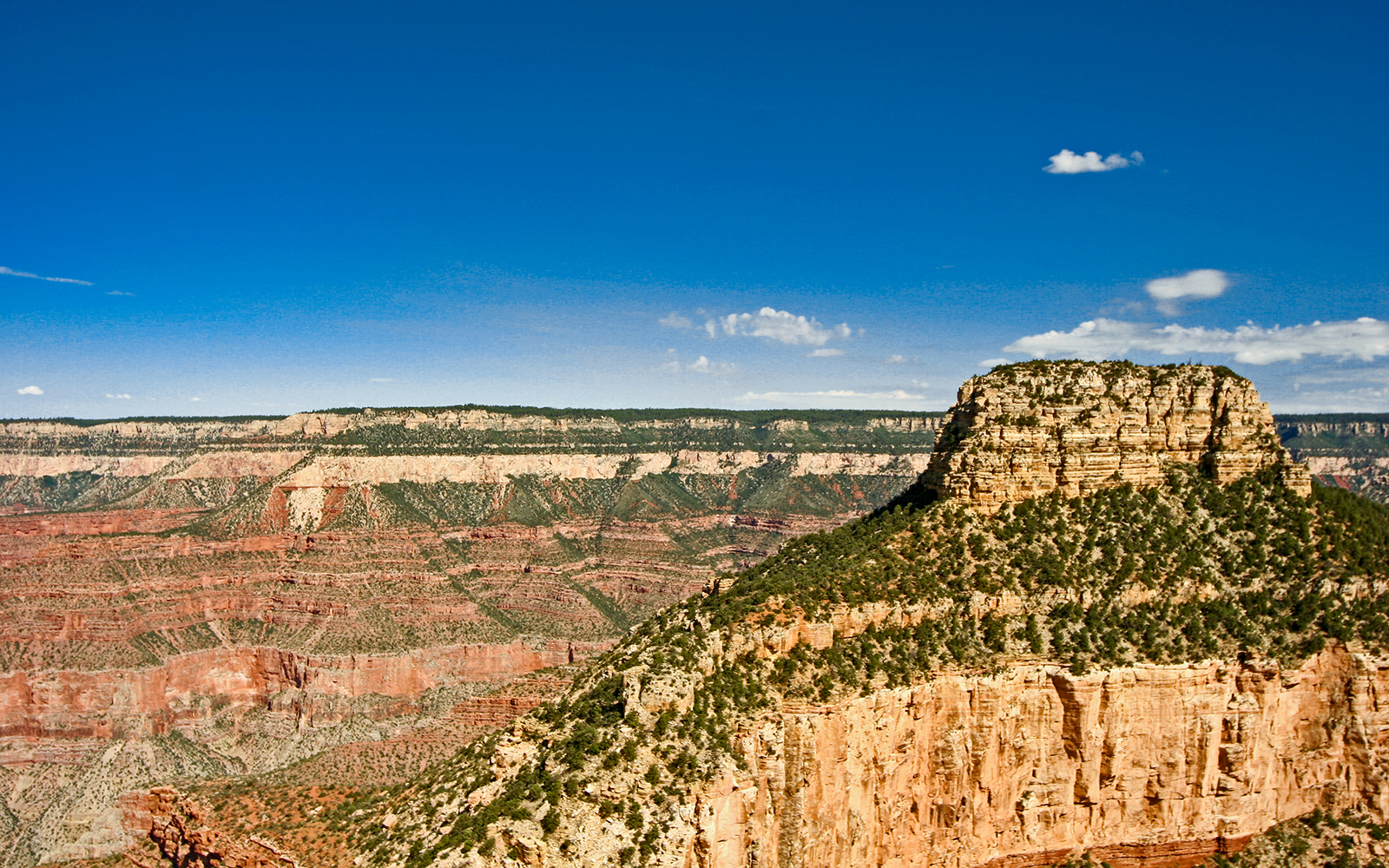 View of Grand Canyon during Grand Canyon South Rim Airplane Tour