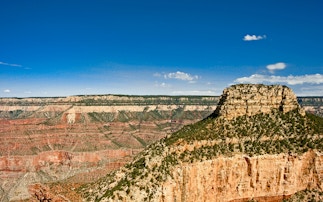 Book Grand Canyon National Park Tours North South Rim