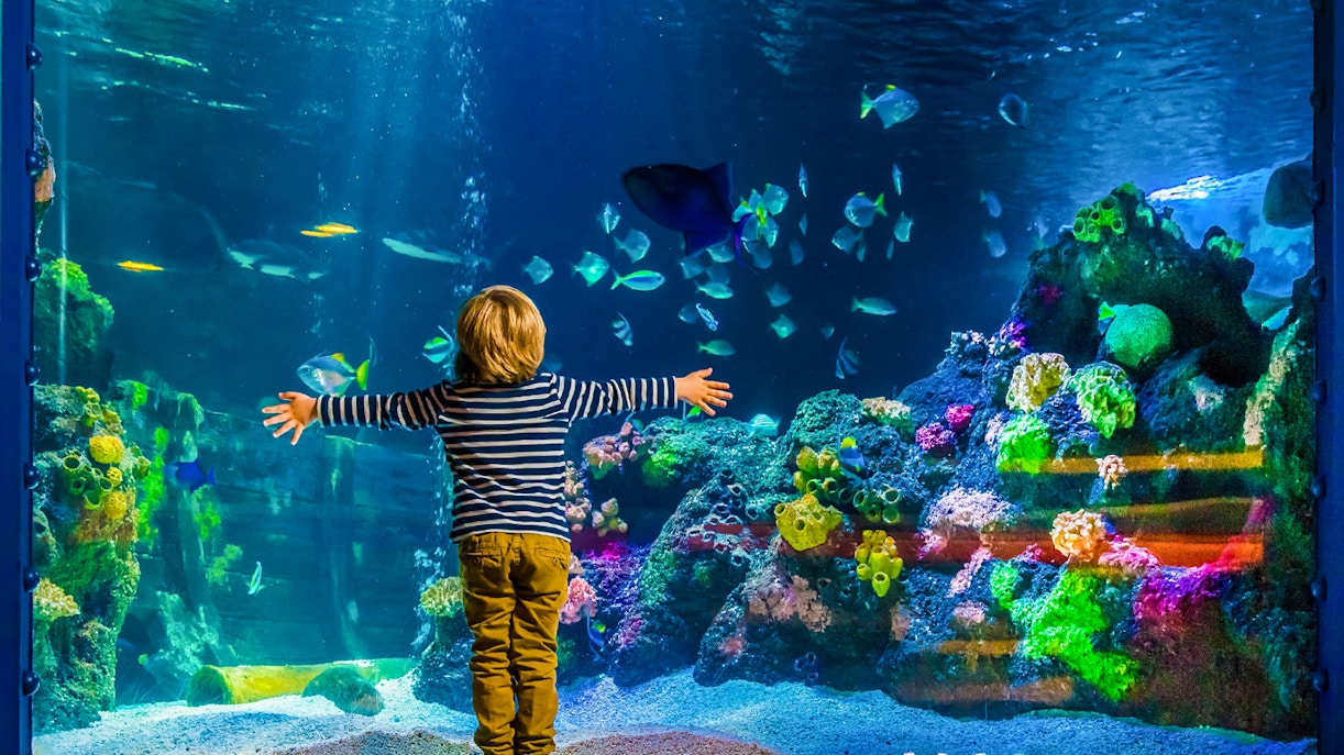 SEA LIFE Munich