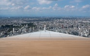 Discover Shibuya Sky Facts Tokyo s Tallest Observation Deck