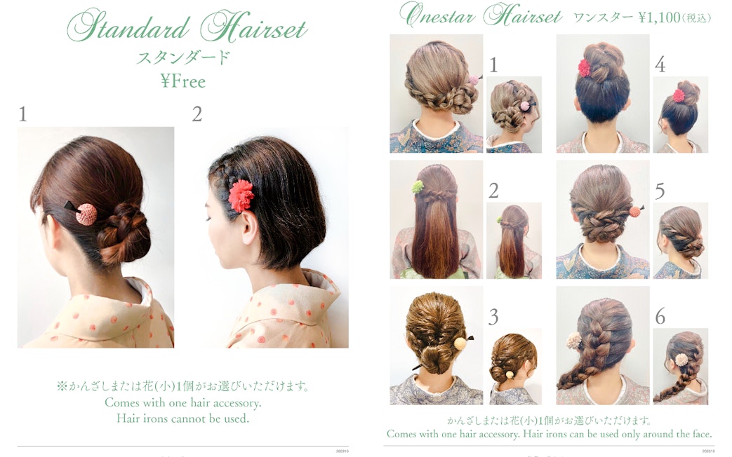 Standard and onestar hairset styles with floral accessories, showcasing various braided and bun hairstyles.
