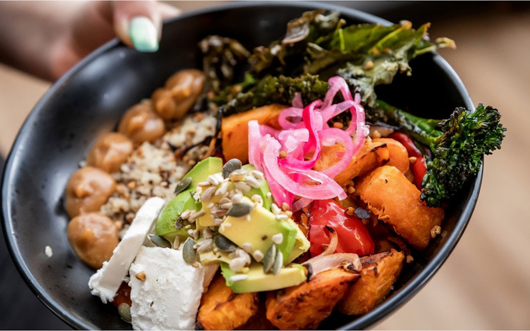 Healthy bowl with avocado, pickled onions, roasted vegetables, and seeds, part of the SEA LIFE Sunshine Coast tour.