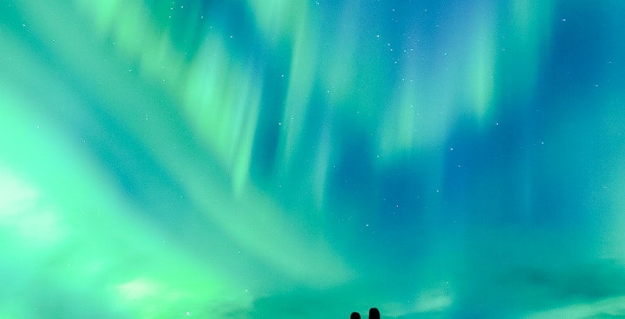 Тур "Северное сияние" Леви