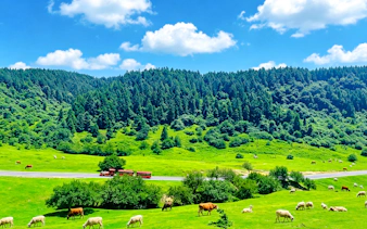 from chongqing: wulong three natural bridges, longshui gorge and fairy mountain day trip-2