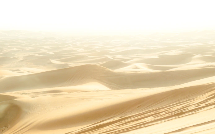 Dubai Morning Desert Safari with Dune Bashing, Sandboarding and Camel Ride