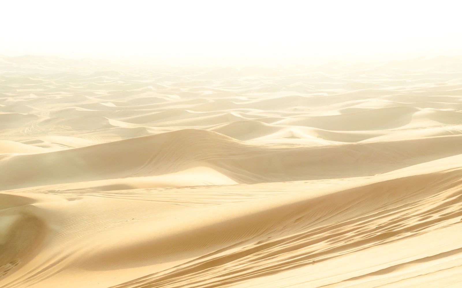Dubai Morning Desert Safari with Dune Bashing, Sandboarding and Camel Ride Image 2