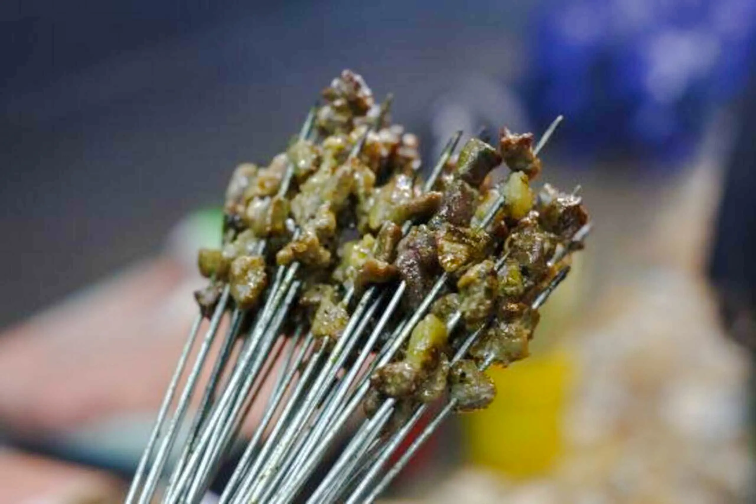 Skewers of grilled meat served during Dar es Salaam night tour dinner.