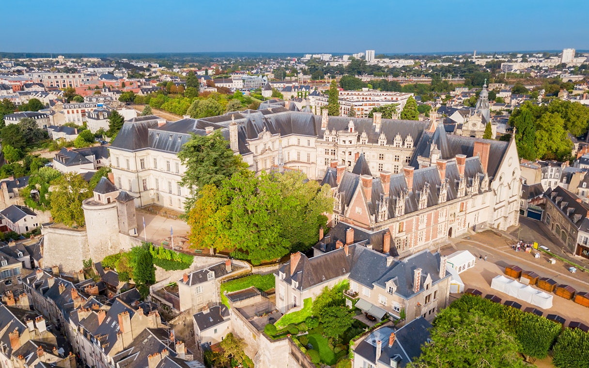 Aerial view of Royal Blois Castle in Blois, France, surrounded by lush greenery and historic buildings.