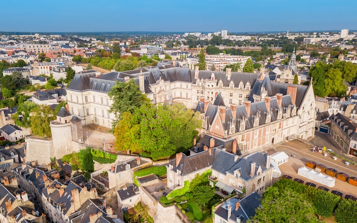 Aerial view of Royal Blois Castle in Blois, France, surrounded by lush greenery and historic buildings.