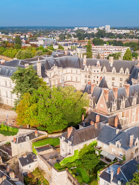 Aerial view of Royal Blois Castle in Blois, France, surrounded by lush greenery and historic buildings.