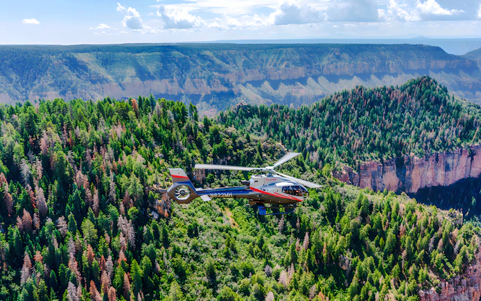 Helicopter flying over Grand Canyon National Park with forested cliffs below.