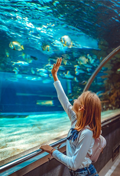 Girl observing fish in Aquarium de Paris tunnel exhibit.