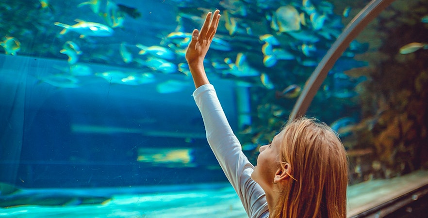 Paris Aquarium Tickets