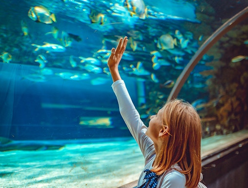 Girl observing fish in Aquarium de Paris tunnel exhibit.