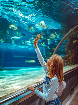 Entradas Acuario de París