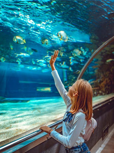 Paris Aquarium Tickets