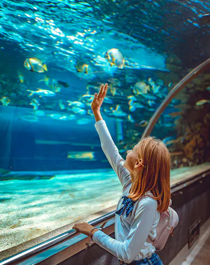 Girl observing fish in Aquarium de Paris tunnel exhibit.