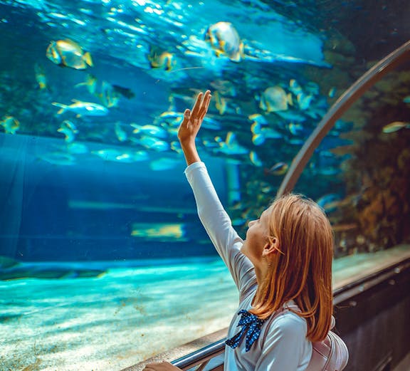 Girl observing fish in Aquarium de Paris tunnel exhibit.