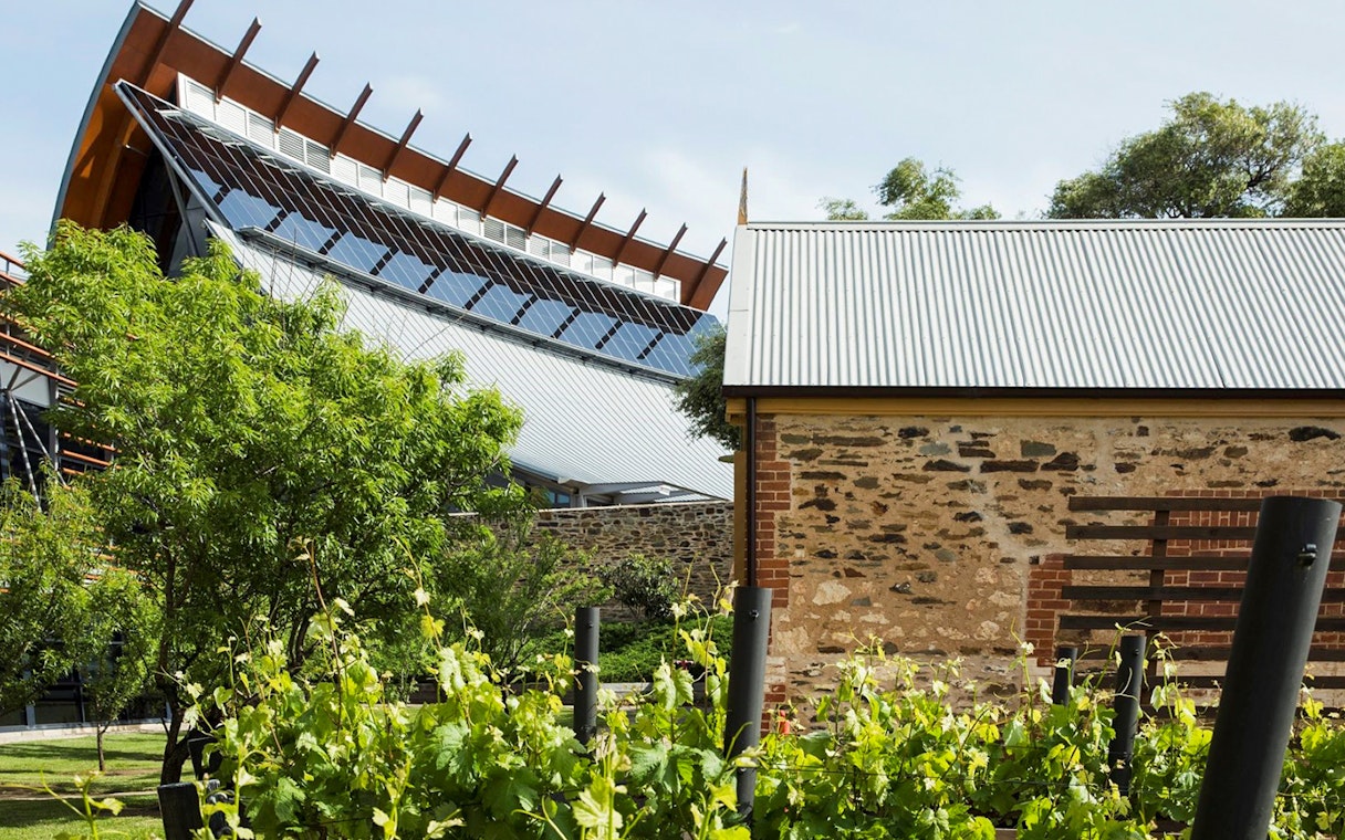 Modern architecture and vineyard in Adelaide city.