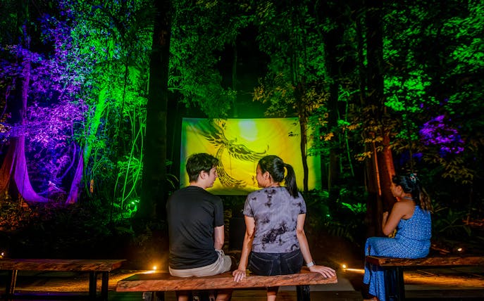 Visitors watching projection mapping of local legends in a forest setting.