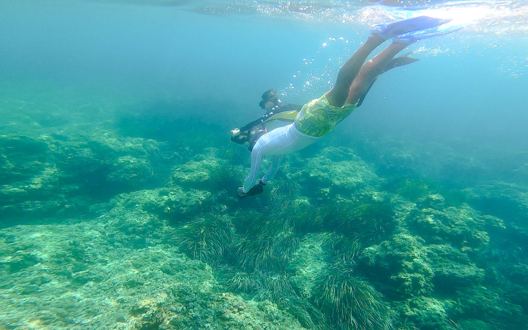 Snorkelers exploring underwater scenery in Saint-Jean-Cap-Ferrat, Nice, France.