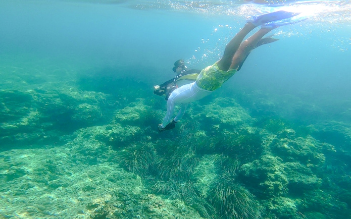 Snorkelers exploring underwater scenery in Saint-Jean-Cap-Ferrat, Nice, France.