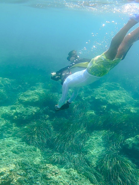 Snorkelers exploring underwater scenery in Saint-Jean-Cap-Ferrat, Nice, France.