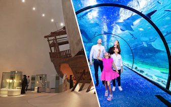 Visitors exploring exhibits at Zayed National Museum and an underwater tunnel with marine life.