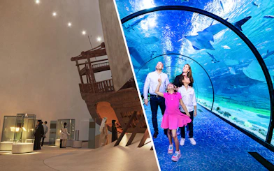 Visitors exploring exhibits at Zayed National Museum and an underwater tunnel with marine life.