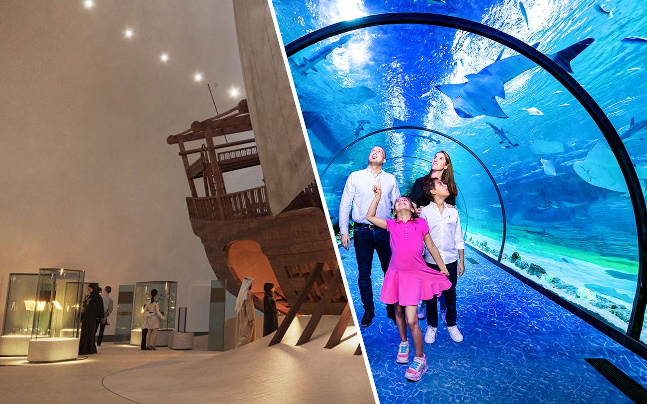 Visitors exploring exhibits at Zayed National Museum and an underwater tunnel with marine life.