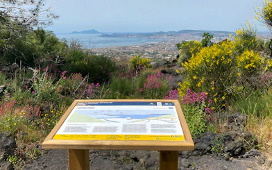 Information board about Mount Vesuvius with view of Naples and surrounding landscape.