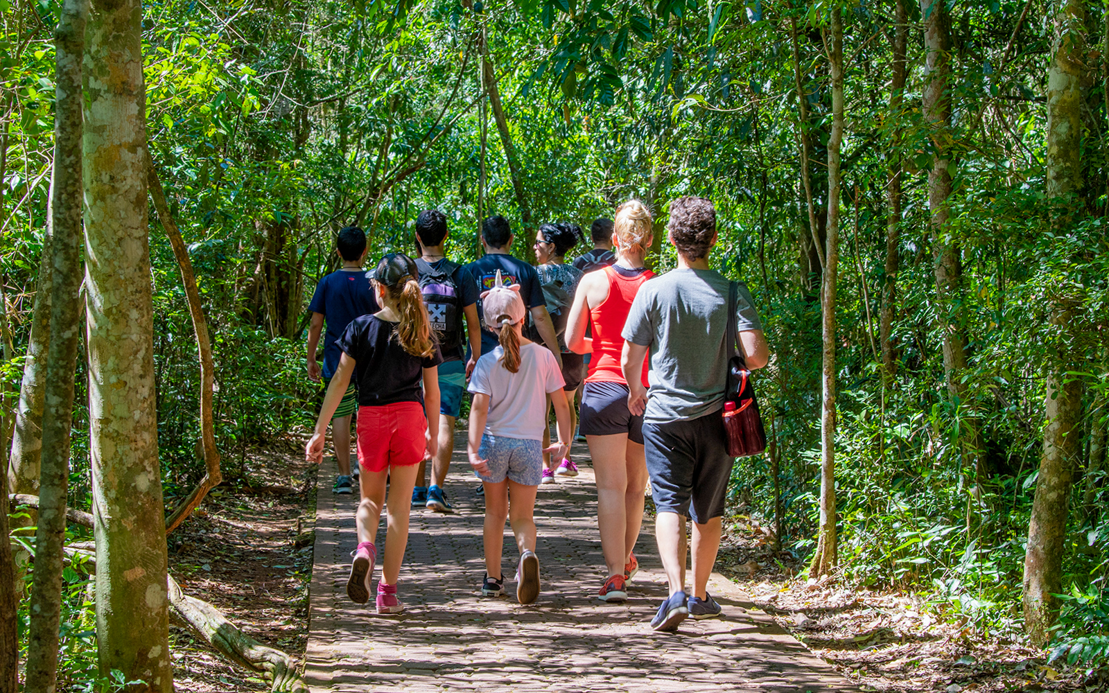Tourists walking on a nature trail surrounded by lush greenery towards Iguazu Falls, Argentina.