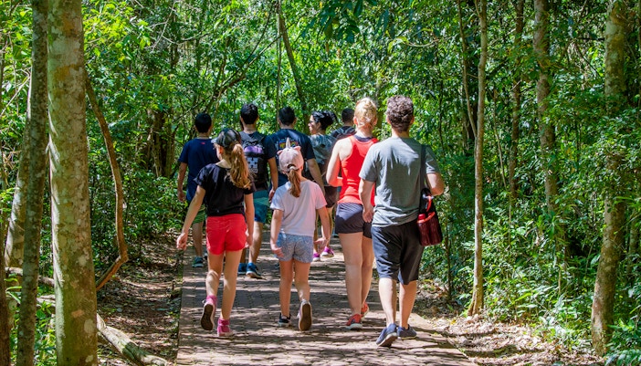 Tourists walking on a nature trail surrounded by lush greenery towards Iguazu Falls, Argentina.