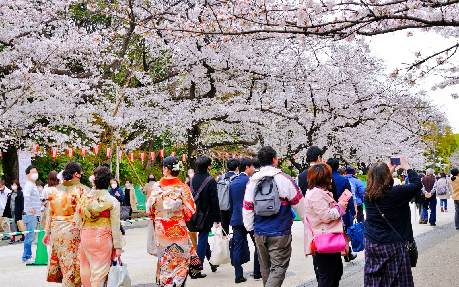 Visitors enjoying cherry blossoms at Ueno Park, Tokyo.