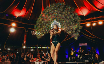 Performer in peacock costume at The Mirage dinner show, Burlesque, Vienna.