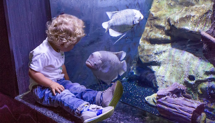 Georgia Aquarium Exhibits Cold Water Quest