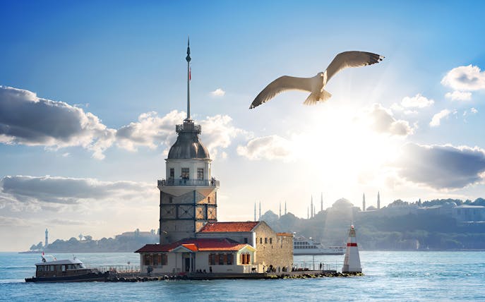 Maiden's Tower on Bosphorus with seagull flying above, Istanbul skyline in background.