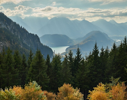 Tickets Schloss Neuschwanstein