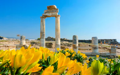 Ancient ruins of Hierapolis with yellow flowers in Pamukkale, Turkey.