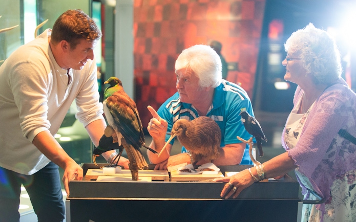 Visitors engaging with bird exhibits at Museum of NZ Te Papa Tongarewa.