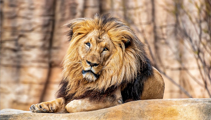 Barcelona zoo animals