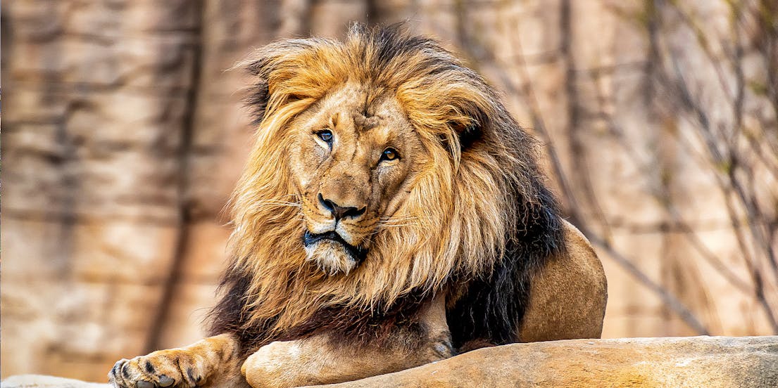 Barcelona Zoo