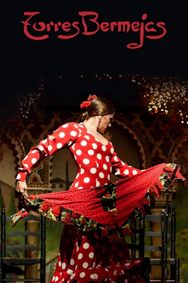 Torres Bermejas - Show de flamenco